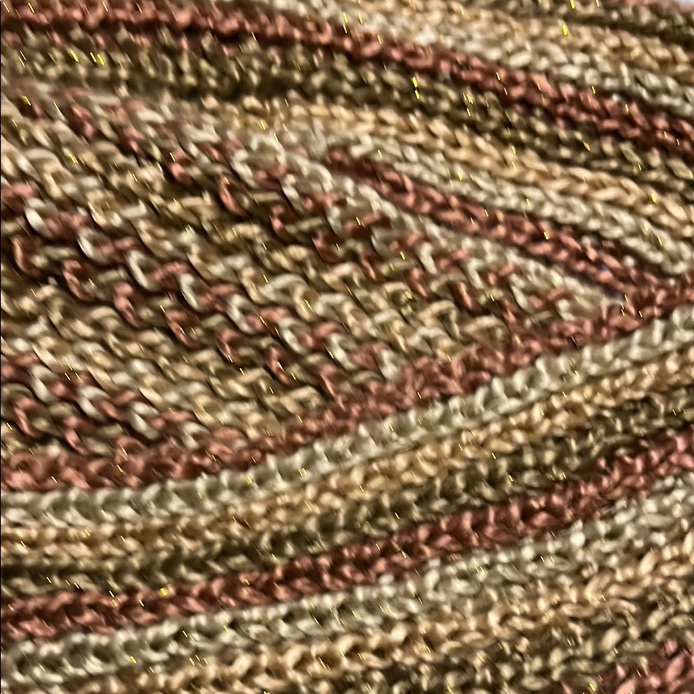Coldwater Creek earthy tones with some gold sparkle infinity scarf .
